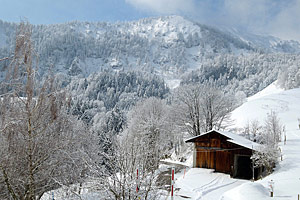 Berggasthaus Steinberg Alm Ruhpolding