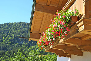 Berggasthaus Steinberg Alm Ruhpolding