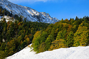 Berggasthaus Steinberg Alm Ruhpolding