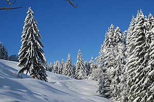 Berggasthaus Steinberg Alm Ruhpolding