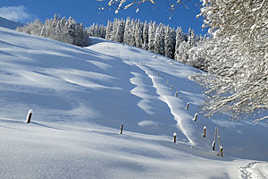 Berggasthaus Steinberg Alm Ruhpolding