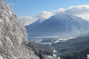 Berggasthaus Steinberg Alm Ruhpolding