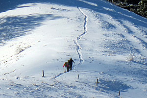 Berggasthaus Steinberg Alm Ruhpolding