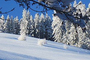 Berggasthaus Steinberg Alm Ruhpolding