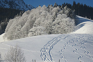 Berggasthaus Steinberg Alm Ruhpolding